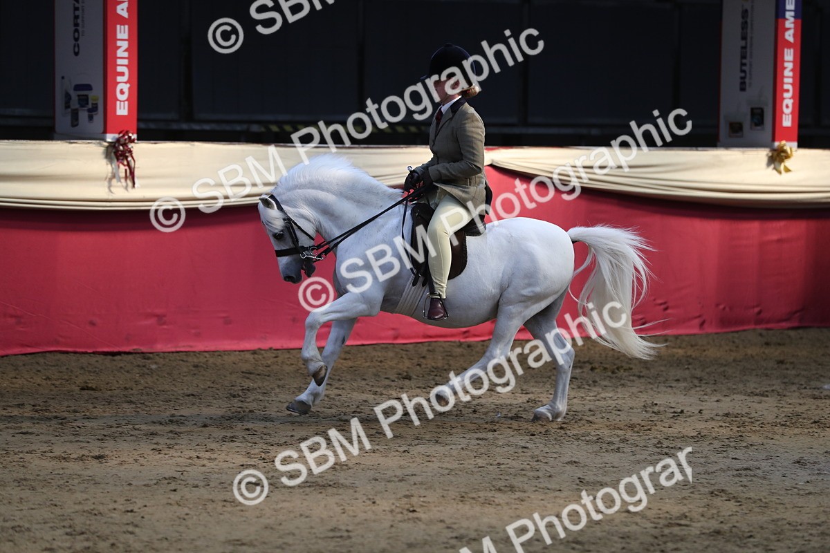 SBM_08349 - Class 11R Regional Ridden Veteran
