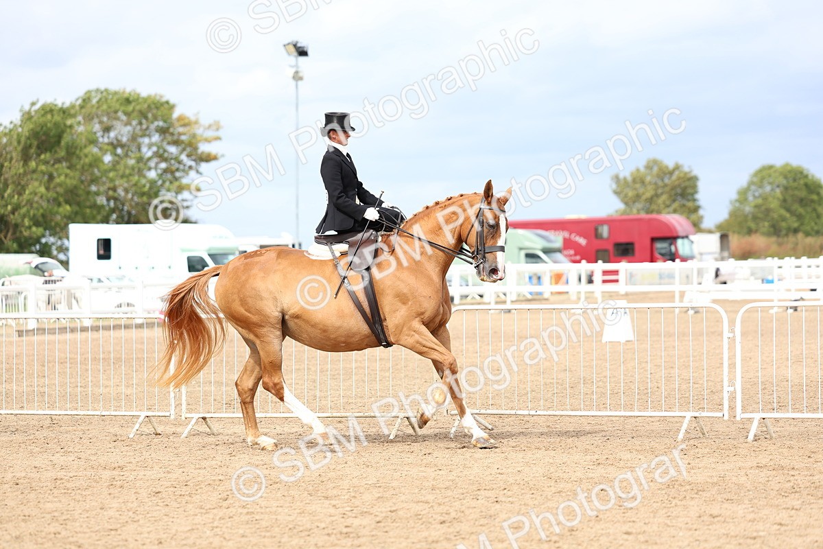 SBM_03405 - Class 24 - SSA Concours d'elegance (any age)