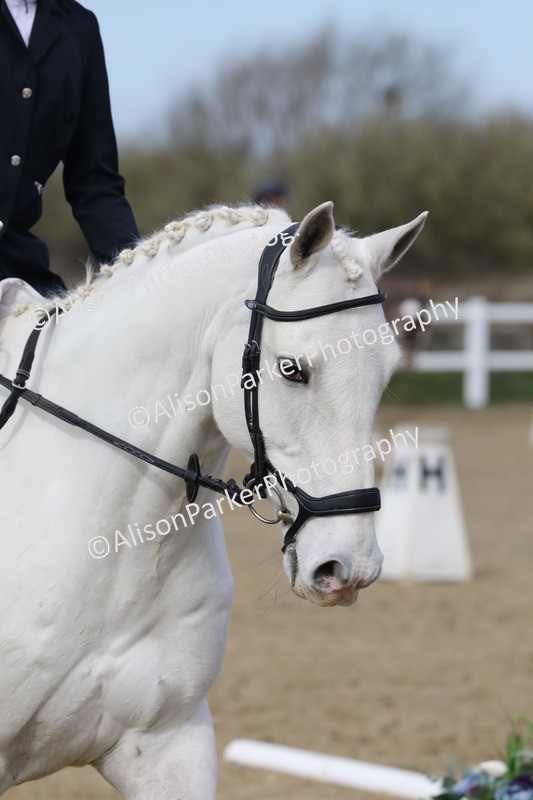 20260314-2016 - CT2 - Prelim 1