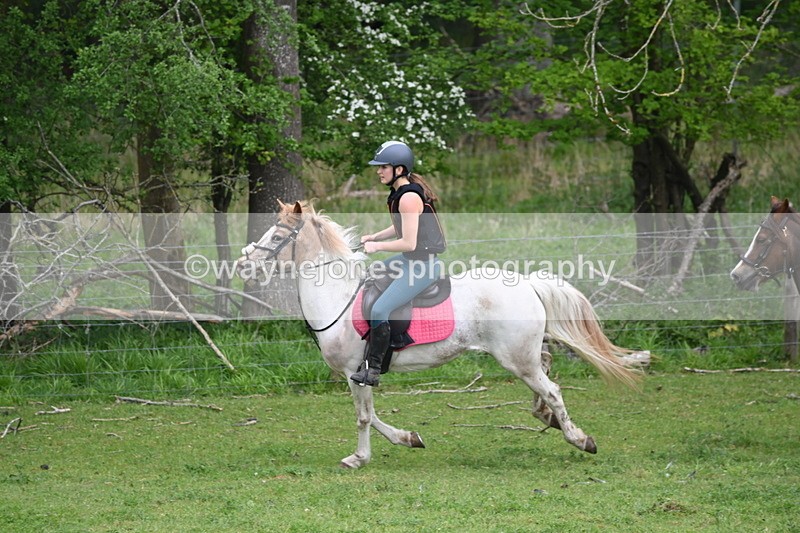 WJ6_3367 - A camera