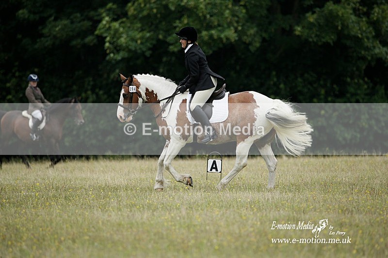 BVRC 030721 82 - Bourne Valley Riding Club Dressage 03/07/21
