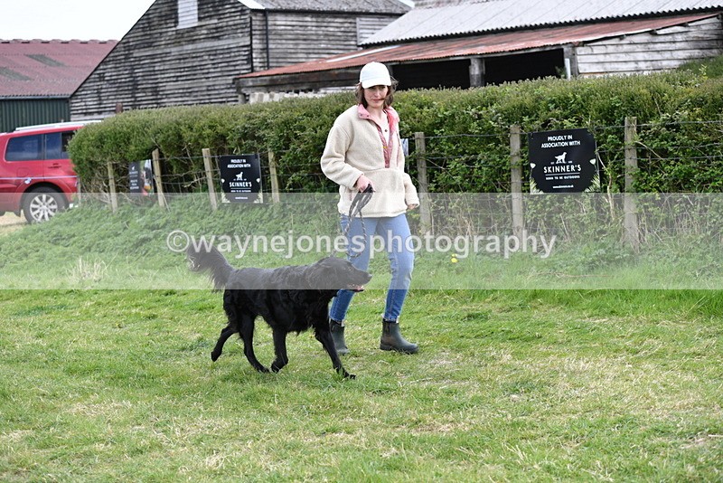 WJ5_0073 - Class 5 Best Veteran / 7 years & over