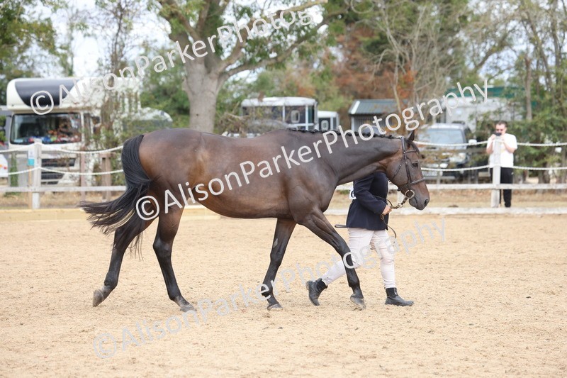 20260831-1887 - Class 5 - Retraining of Racehorses