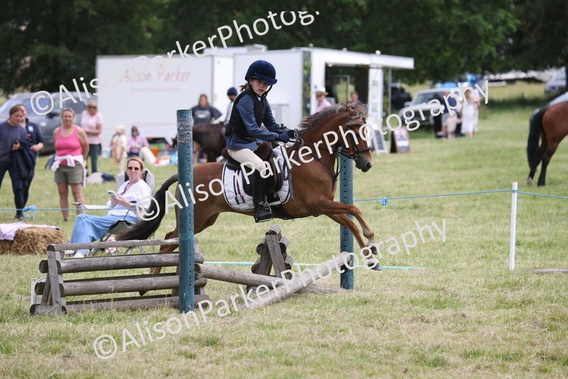 20260614-4120 - Class 24 - Mini and Major Pairs Jumping