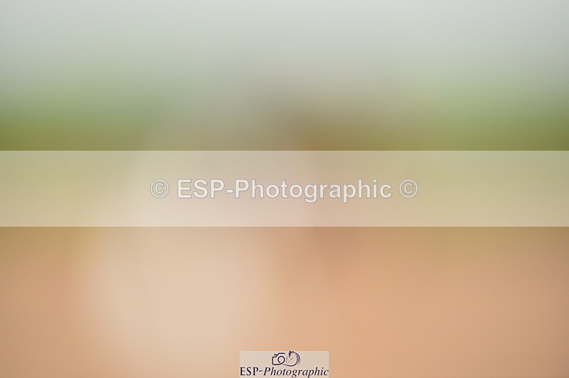 231118A-091716-00775 - Cls 16+17 Club and Schools 60cm