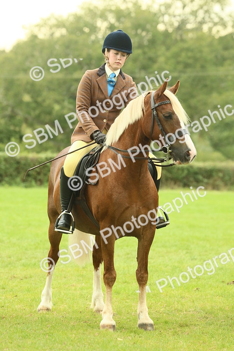 SBM_72214 - S60 - Mountain & Moorland Ridden Large Breeds