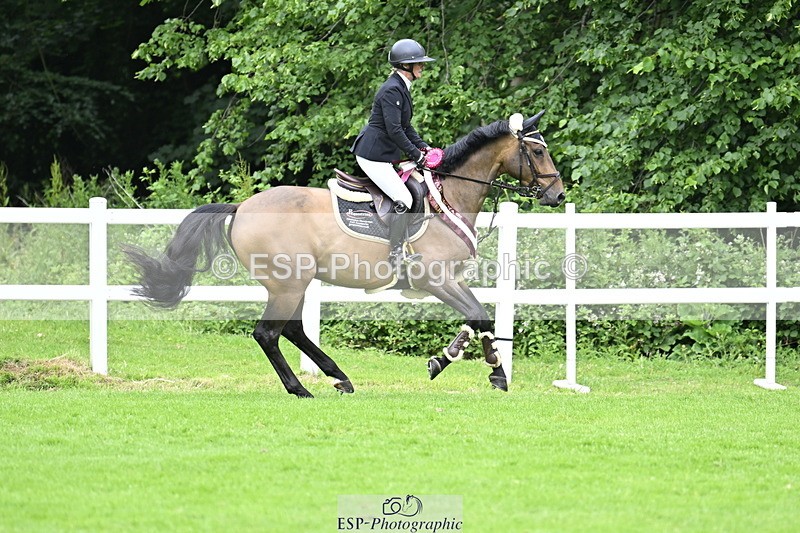 250613A-135839-02432 - Cls 3 Snr Foxhunter