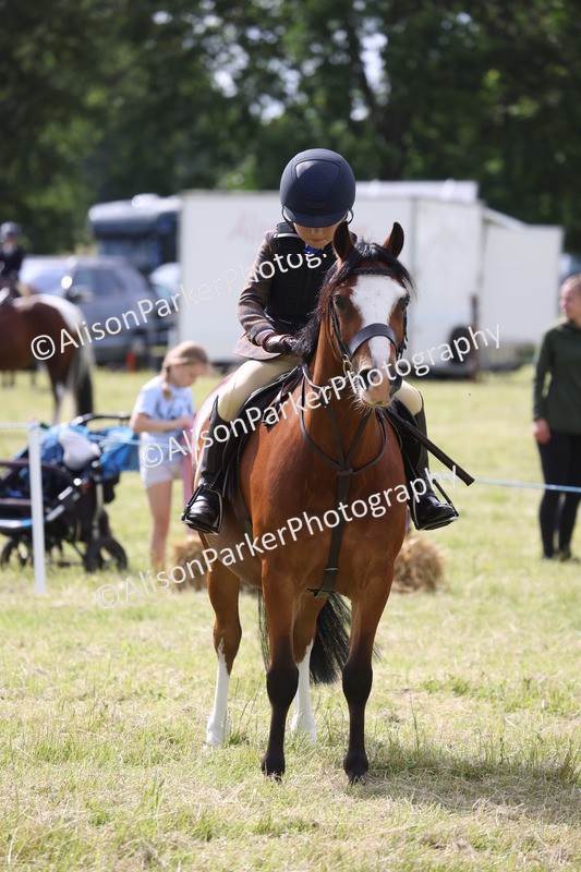 20260614-0506 - Class 20 - Beginners Working Hunter Pony