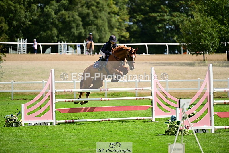 2026-08-21A-DSC_4484 - Cls 2 Snr Foxhunter