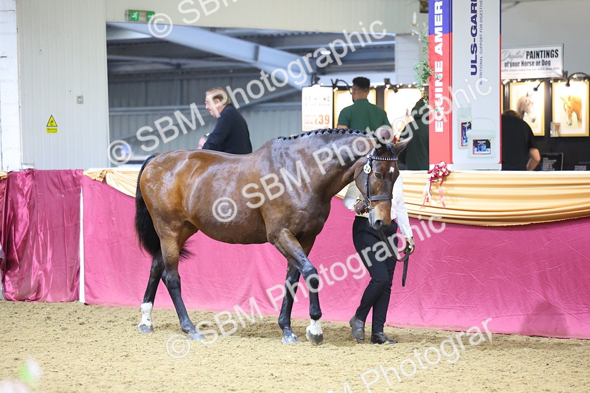 SBM_20949 - Class 902 - Supreme Final IH Veteran