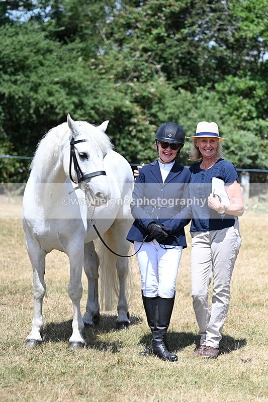 WJ7_2466 - Class 5a Most Handsome Gelding in hand (above 14.2hh)