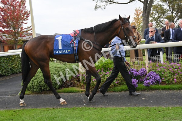 yr09102021r2-2 - Race 2 2.02pm Coral Beaten-By-A-Length Free Bet Rockingham Stakes