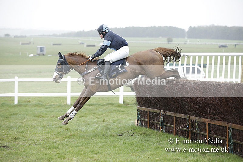 PtP 150320 0187 - New Forest Point-to-Point Larkhill 15/03/20