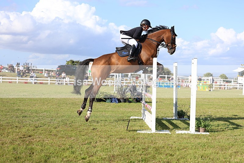 3E7A4281 - Class C: Showjumping Senior Foxhunter