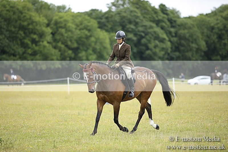 BVR160717-303 - Ring 1 BVRC Show 16/07/17