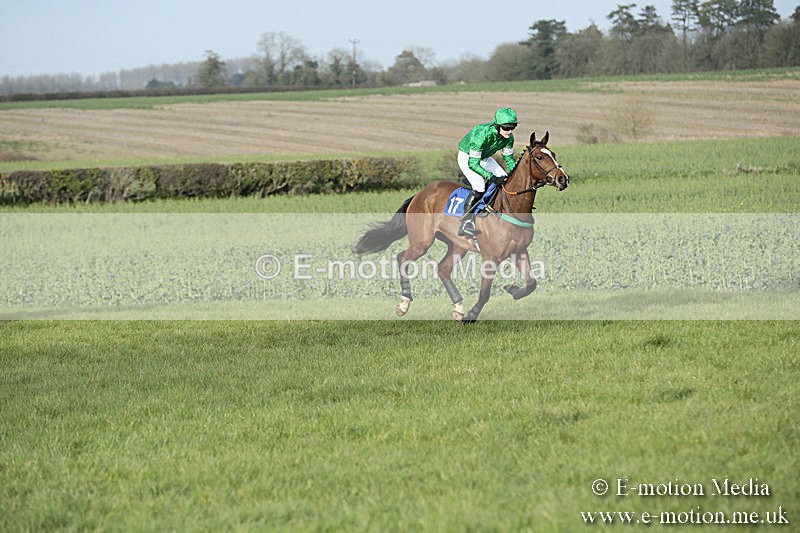 PtP 230319 464 - VWH Hunt Siddington Point-to-Point Racing 23/03/19