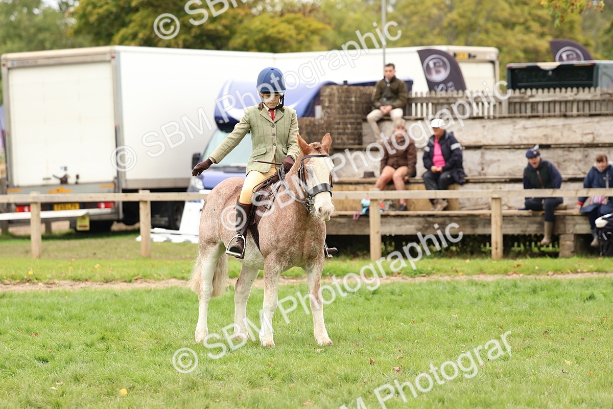 SBM_64630 - S58 - Coloured Pony Ridden