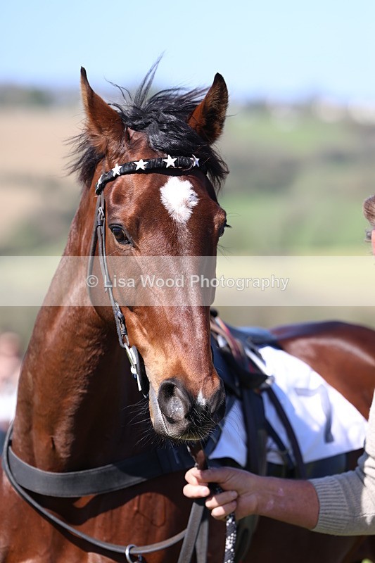 3E7A5236 - Race 4:  Maiden