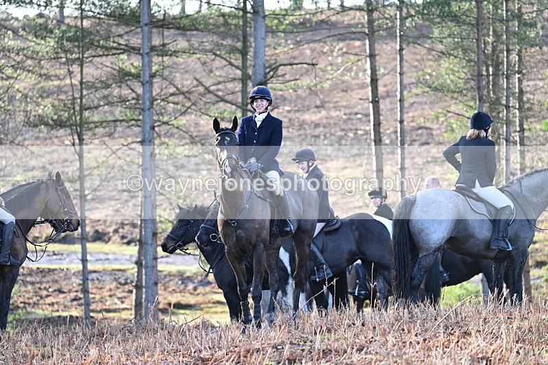 WJ7_7098 - Line 3 (no line 4 or 5)