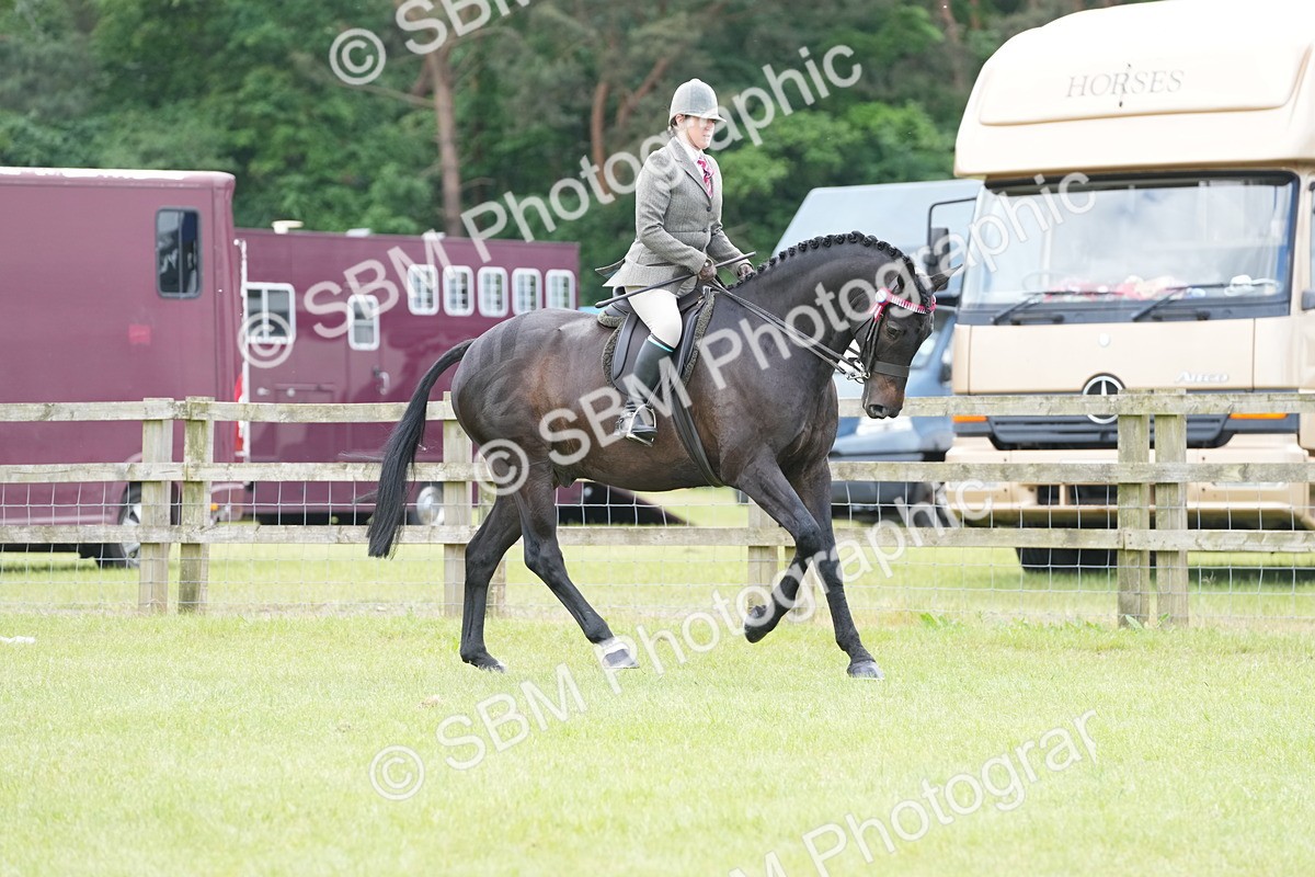 SBM_16169 - Class 105-106 - RIHS Riding Horses