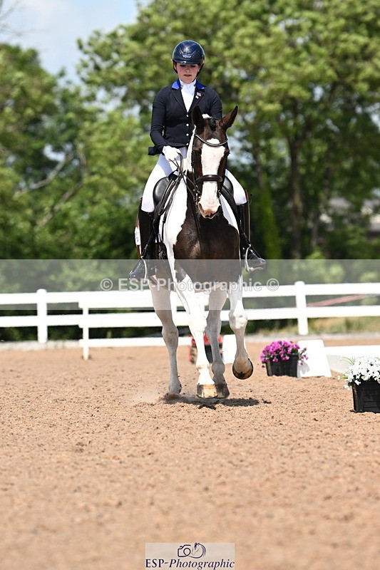 240621A-140102-04197 - Cls 8 BD Elementary 53