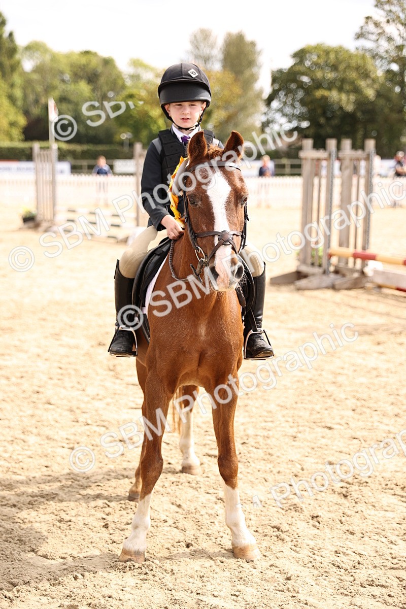 SBM_64032 - J12 - Junior Pony 55cm Championship