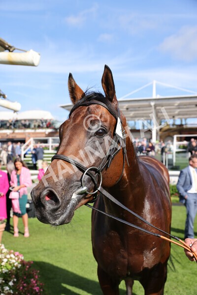 yr08102022r1-59 - Race 1 1.30pm The Coral Play 'Racing-Super-Series' for Free Nursery Handicap