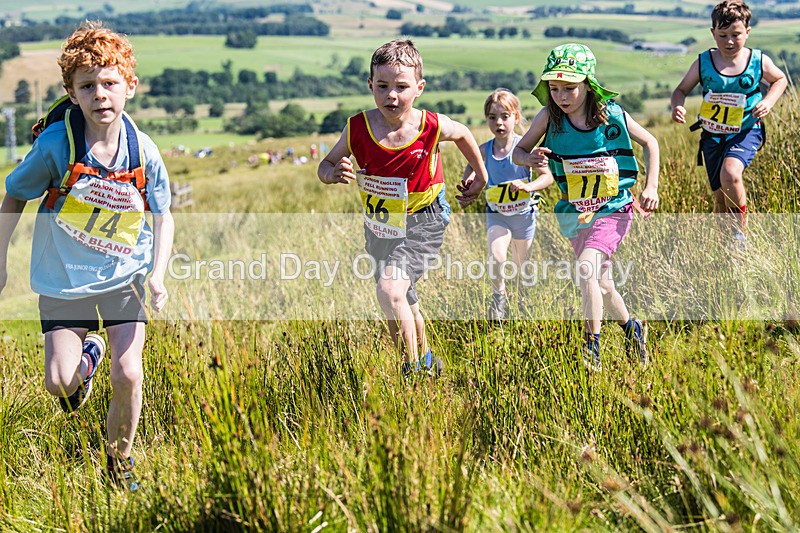 Tebay U9-48 - FRA Junior Championship Under 9s Tebay Saturday 12th July 2025