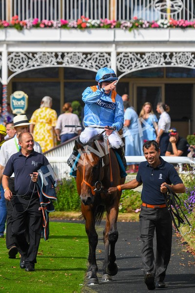 100923-Race 1-The Coffee Pod-0416 - Race 1 1.40pm Ire Incentive, It Pays To Buy Irish EBF Novice Stakes