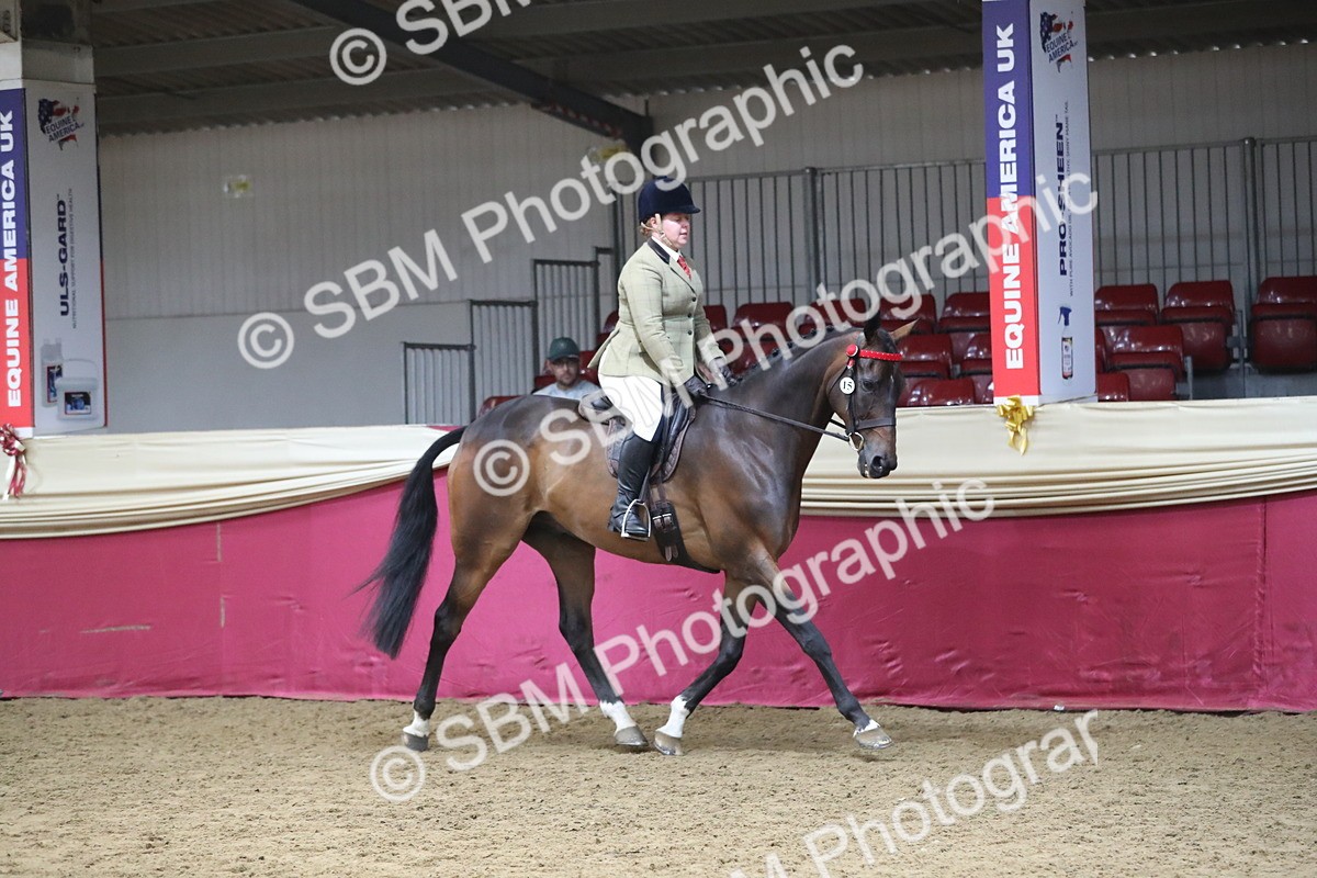 SBM_12302 - Class 108 Ridden Retired Racehorse- Pre Judging
