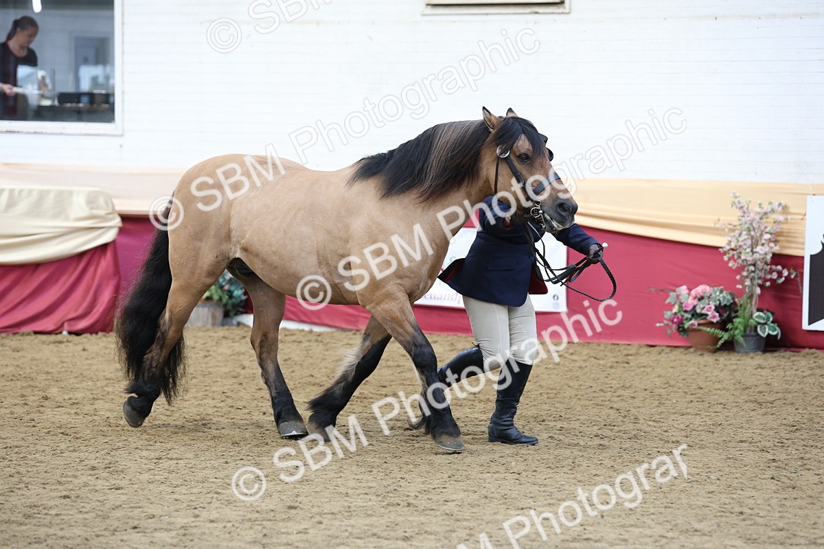 SBM_24091 - Class 905 - Supreme Final - Ridden Veteran