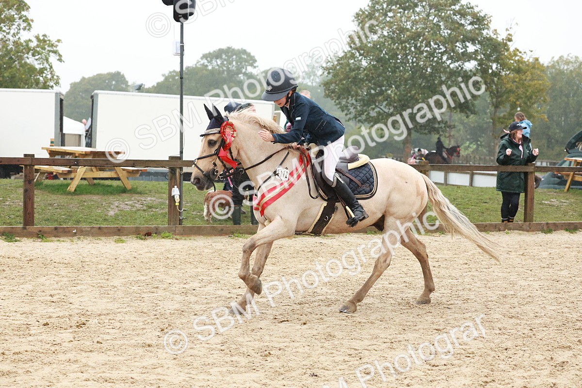 SBM_73663 - Supreme Championship Junior Pony 60cm & 65cm