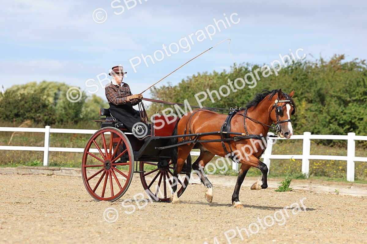 SBM_000899 - Class 8 - Novice Horse or Pony to any vehicle