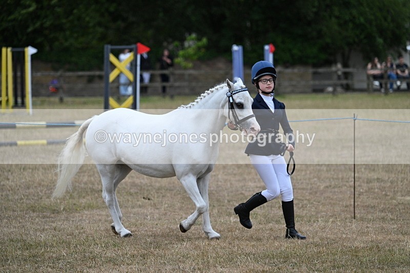 WJ7_8336 - Class 4 Prettiest Mare up to 14.2hh