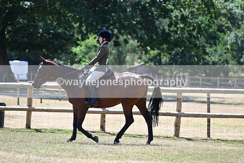 WJ7_2734 - Class 7 Riding Club Show Horse