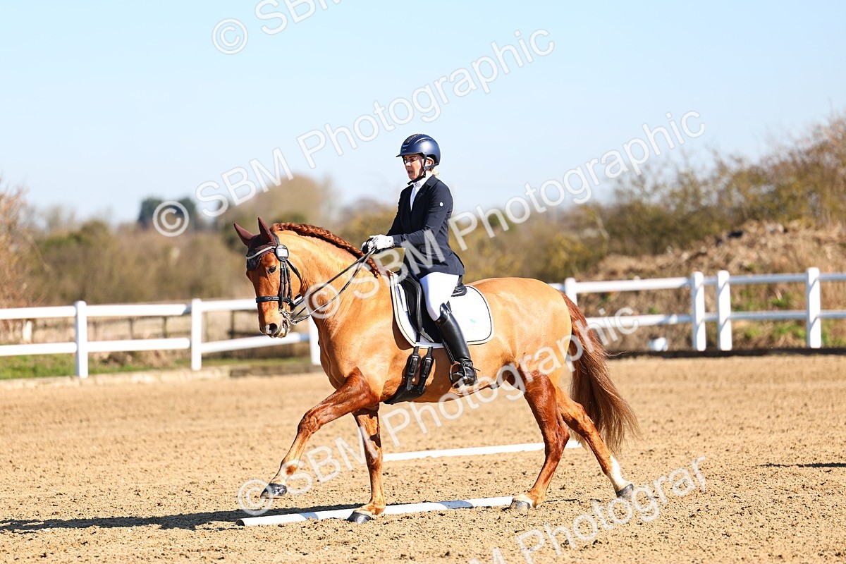 026A8531 - Class 2-6-5-4 - Paso Doble-Sevilla-Golega-Novato