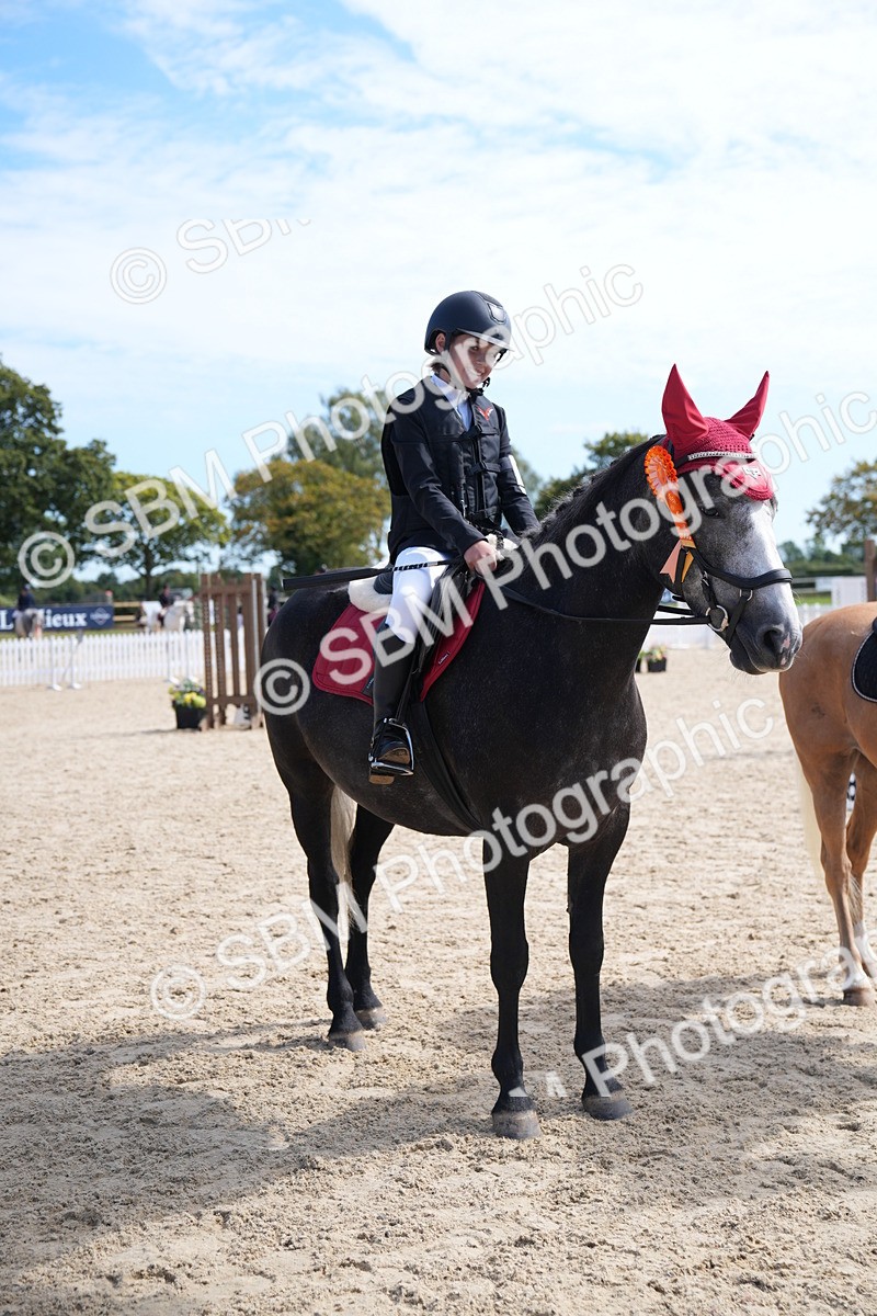 SBM_21601 - J49 - Open 50cm