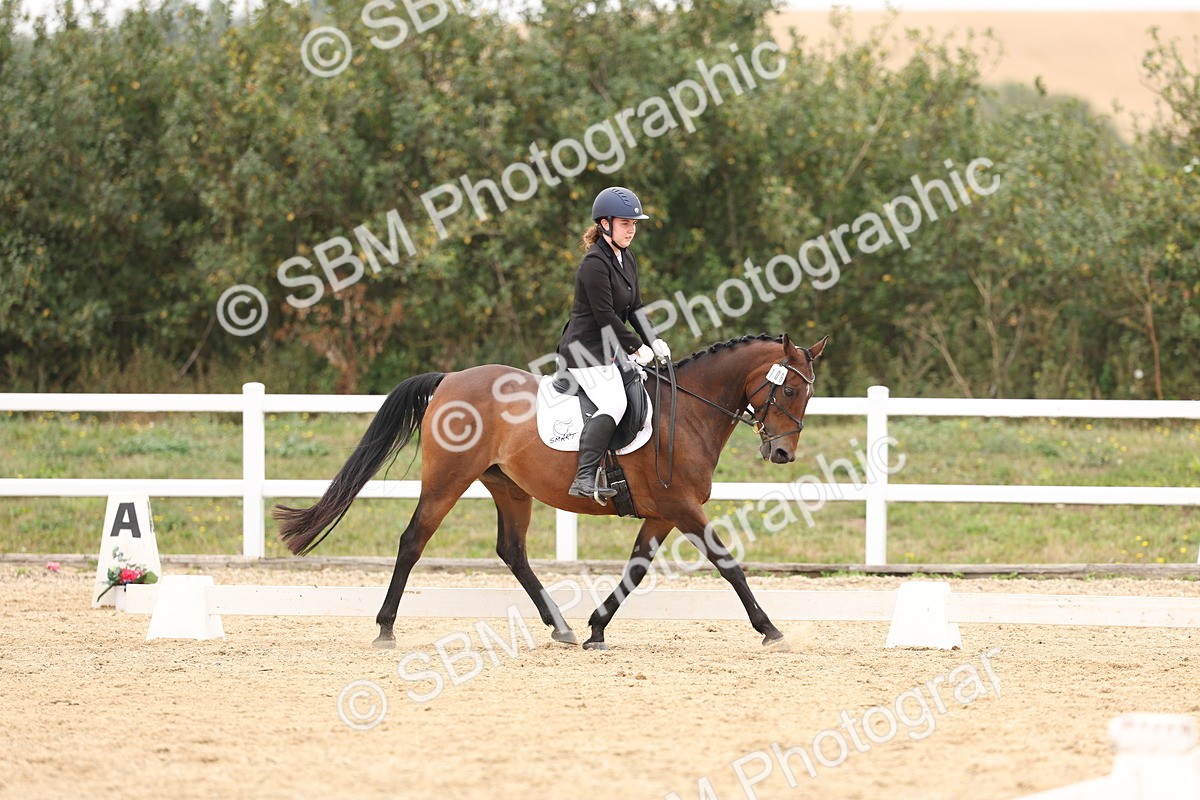 SBM_00923 - Class 8 - Novice 27 Champs