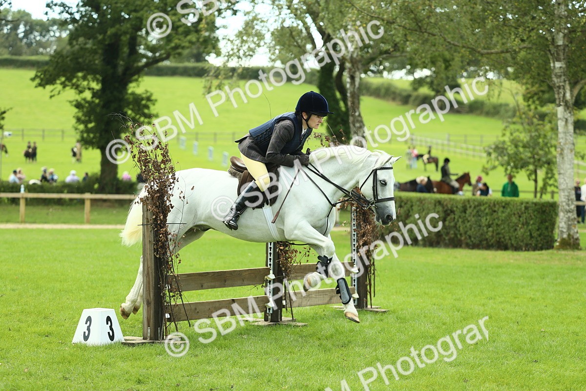 SBM_42798 - S30 - M&M Working hunter Pony