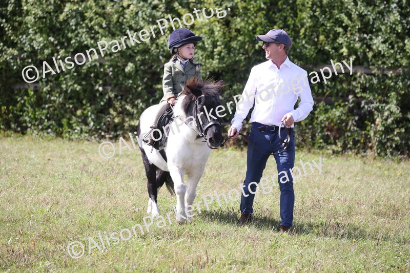 20260906-2722 - Class 25 - Absolute Beginners Pony