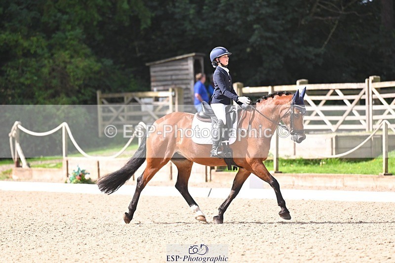 240809-100038-00017 - 211-Amelia.Dovey-Caederwen.Lady.Elinor