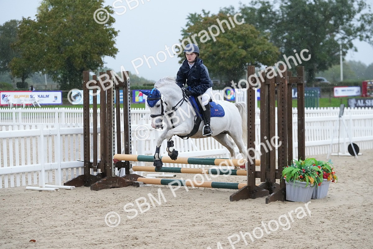 SBM_36201 - J5 - Junior Pony 50cm Championship