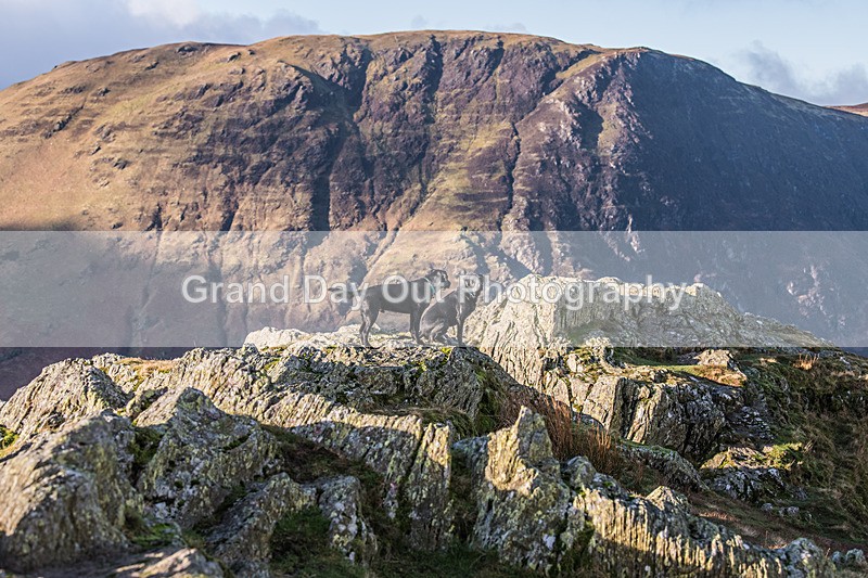 Wainwrights-5 - Carol Morgan Winter Wainwrights Round Friday 3rd January 2025