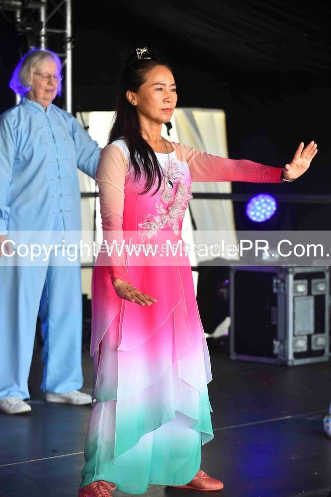 SH4_0053 - Tai Chi with Lisa Kay.