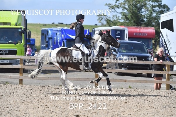 BPP_2422 - DERBY CLASS 7 - 80CM