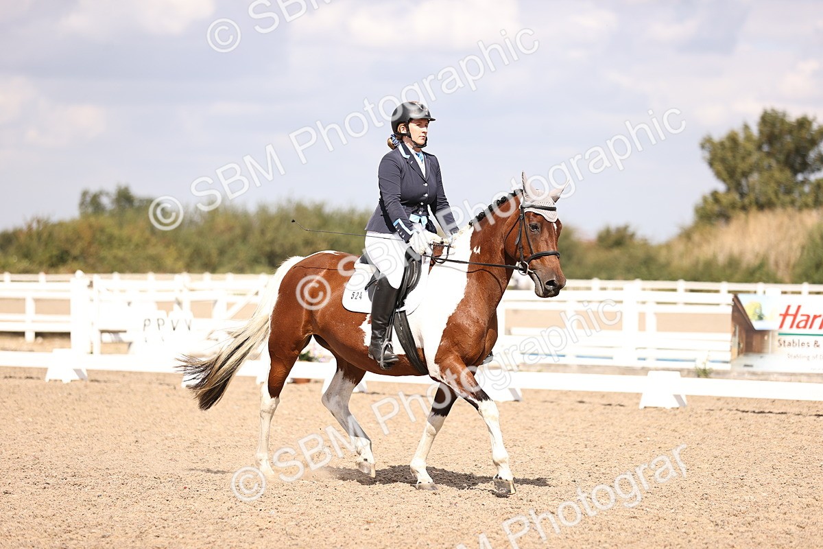 SBM_03706 - CLass 35 Intro 3