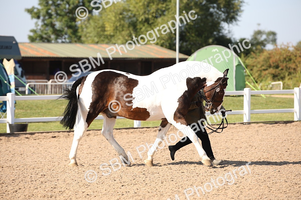 SBM_01465 - Class 15 IH Coloured