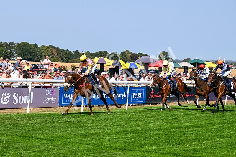 130826-Race 3-State Of Gold-8775 - Race 3 15.15pm Hornsea Ladies At The Races Nursery Handicap