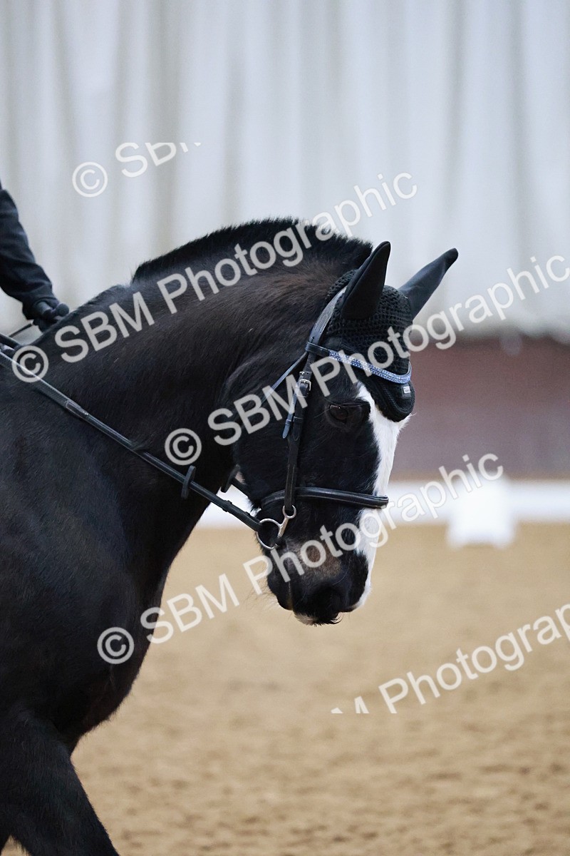 SBM_000161 - Class 17-6-18 - TQ U21 Novice 3Novice 3-MQ Open Prelim 1