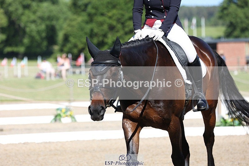 230526-094522-05162 - 357-VIVENDI_HERO-Saffron_Cresswell-WEDTrotUp+DR